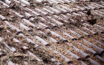 Thorpe Green roof cleaning companies